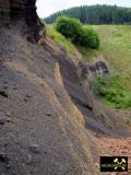 Schlackegrube nördlich des Nerother Kopf bei Oberstadtfeld, Vulkaneifel, Rheinland-Pfalz, (D) (12) 01. Juni 2014.JPG